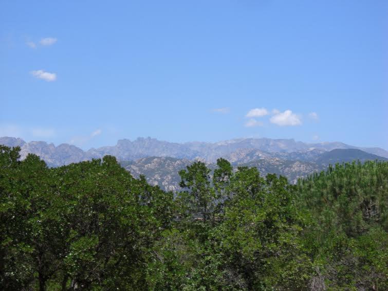 Camping California Pinarellu Exterior foto